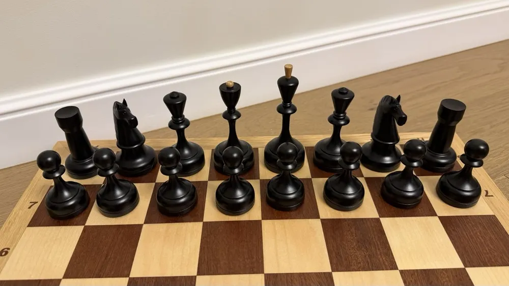 The black pieces on the first rank close up - rook, knight, bishop, queen, king